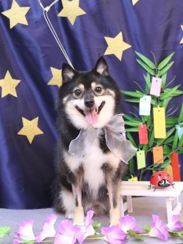 20230702琥太郎くん